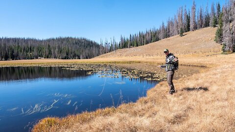 Remote Mountain Lake Fishing | Backpacking with Fly Rod