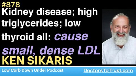 KEN SIKARIS 4 | Kidney disease; high triglycerides; low thyroid all: cause small, dense LDL