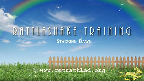 Dawg's First Rattlesnake Training Class (2017)