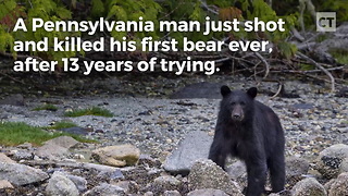 Pennsylvania Man Bags 600-Pound Bear