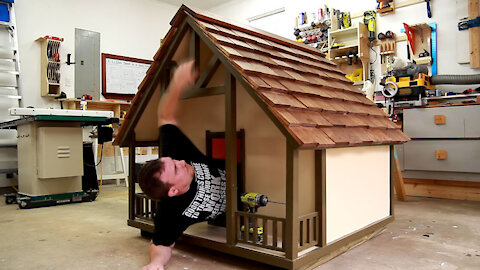 Building A Dog House