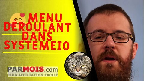 🥰 Menu déroulant dans SystemeIO