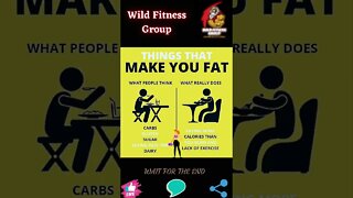 🔥What are the things that make you fat🔥#shorts🔥#wildfitnessgroup🔥11 November 2022🔥