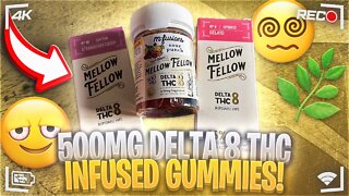 500mg Delta 8 THC Gummies (One Sitting)