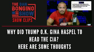 Why Did Trump O.K. Gina Haspel To Head The CIA? Here Are Some Thoughts - Dan Bongino Show Clips