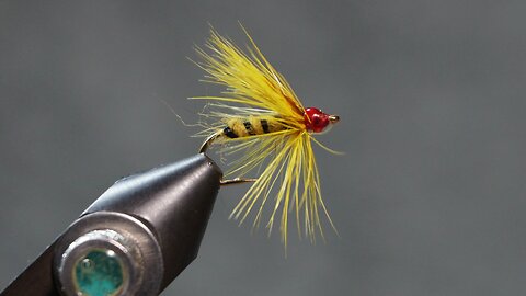 Yellow Hackle (from Mary Orvis Marbury: Favorite Flies)