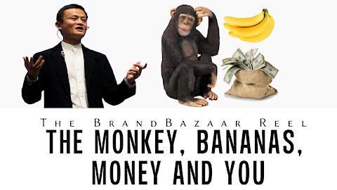 THE MONKEY, BANANAS, MONEY AND YOU