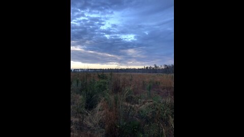 Public Land- Do This When Scouting For Turkeys!