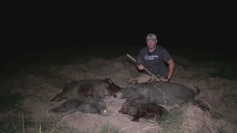 BOAR HUNTING USING FIREWORKS FOR COVER