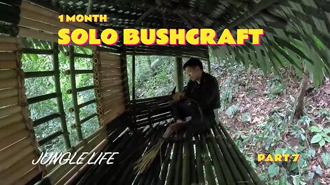 1 Month Solo Bushcraft. Build a box-shaped house on a tree. Survive in the Wild 7