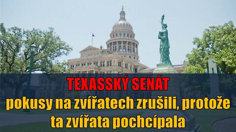 Texasský senát: Pokusy na zvířatech s vakcínou zrušili, protože ta zvířata pochcípala