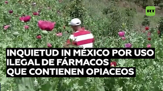 ¿Salvación o perjuicio?: inquietud en México por el uso ilegal de fármacos que contienen opiáceos