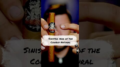 I smoked this cigar in under a minute! #cigarshowtim #tobaccotalkmedia #youtubeshorts #shorts