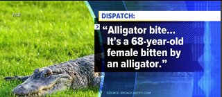 Woman injured after alligator attack