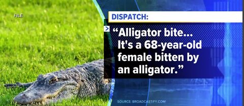 Woman injured after alligator attack