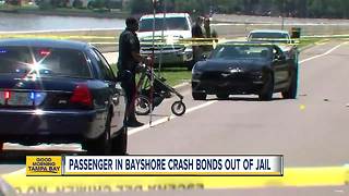 Passenger in Bayshore crash killing mother pushing toddler bonds out of jail