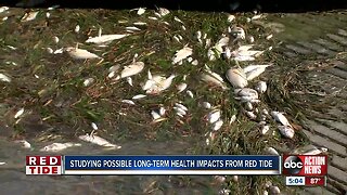 Health experts, researchers will study the long-term health impact of red tide on people