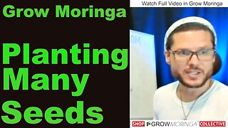 How I Grow Moringa For a Living