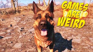 Derp Dog - Games Are Weird 162