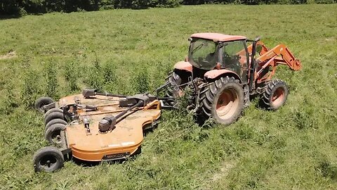 Clipping pasture and update on the bull injury.