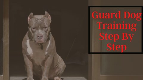 Guard Dog Training Step By Step