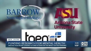Funding research for mental health