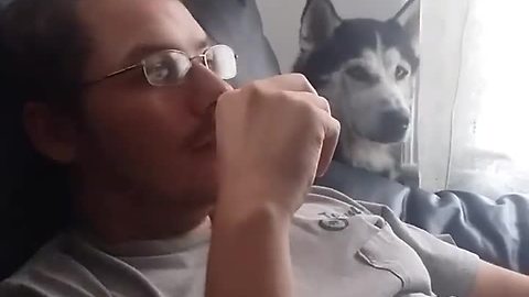 Owner catches husky staring at him when he's not looking