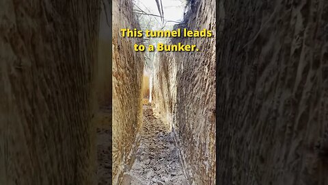 Insane 300ft tunnel will lead to our Atlas Bunker from a trap door. #bombshelter #bunker #survival