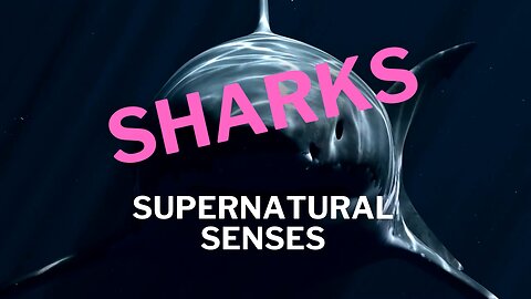 Supernatural Senses: Unveiling the Extraordinary Sensory World of Sharks - S1E1