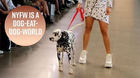 Dalmatian is the star model of Day 1 NYFW
