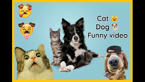 Funny Dogs and cats🐕😺 and other animals new funng 🤣 videos 2023 🤣
