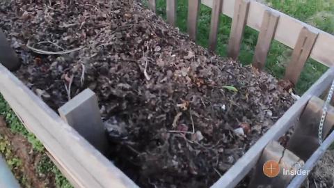 How to start composting in your backyard