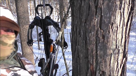 Saddle Hunting Set Up During Winter Bow Season