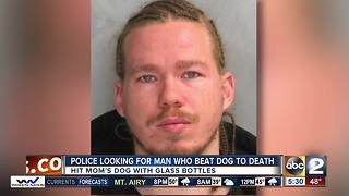 Man accused of beating his dog to death with glass bottle wanted