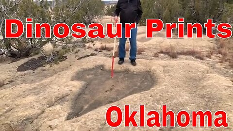 Dinosaur Tracks Oklahoma