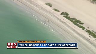 Which beaches are safe this weekend?