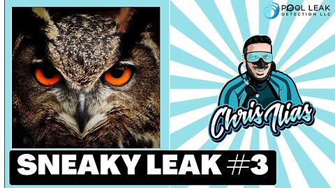 Sneaky Leak #3 | Pool Light Niche | Leak Detection