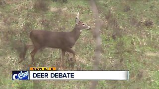 Shaker Heights program could allow deer hunters onto private property, with owner's permission