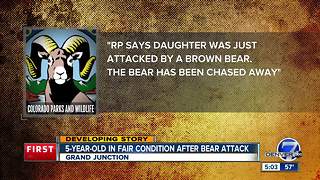 5-year-old girl suffers serious injuries in Grand Junction-area bear attack