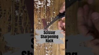 Scissor Sharpening Hack You Need to Try