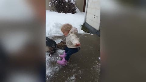 "Little Girl Falls on Bum in the Snow: The Cutest Accident"