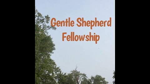 Gentle Shepherd Fellowship October 16, 2022