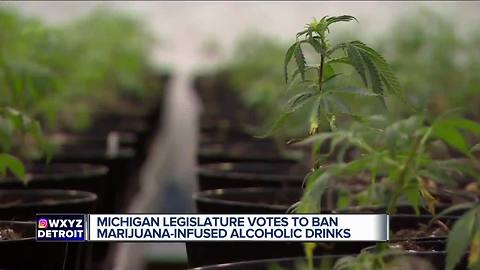 Michigan Legislature votes to ban marijuana-infused beer