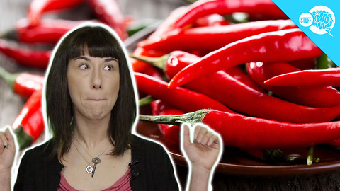 BrainStuff: Why Does Spicy Food Make Your Nose Run?