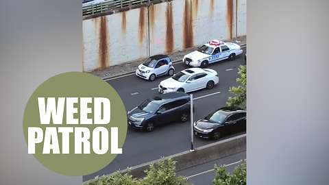 Funny moment cops tell a driver over their megaphone: "Throw your weed out it smells like sh*t"