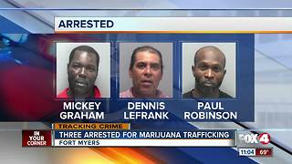 Three Arrested for Marijuana Trafficking