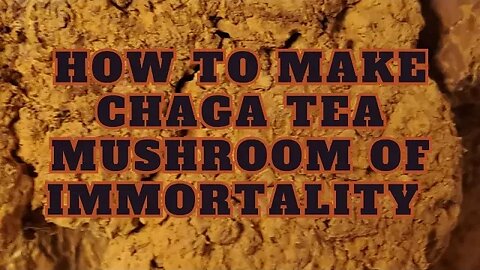 Chaga Mushroom Tea Tutorial