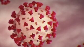 Study looks at how widespread the COVID-19 virus is in Clark County