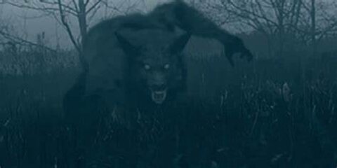The Beast of Bray Rd. (Dogman in Wisconsin)