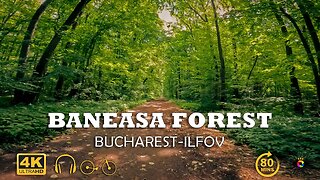 BANEASA Forest, Bucharest - Ilfov | Techno music | 4k Virtual Tour | 🇷🇴